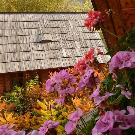 Woodenhouse Maramures Vişeu de Sus Exteriör bild