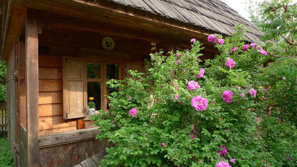 Woodenhouse Maramures Vişeu de Sus Exteriör bild